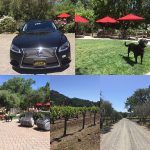 Vincent Arroyo Winery