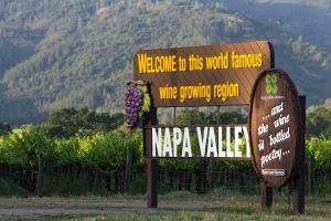 San Francisco to Napa Wine Tours